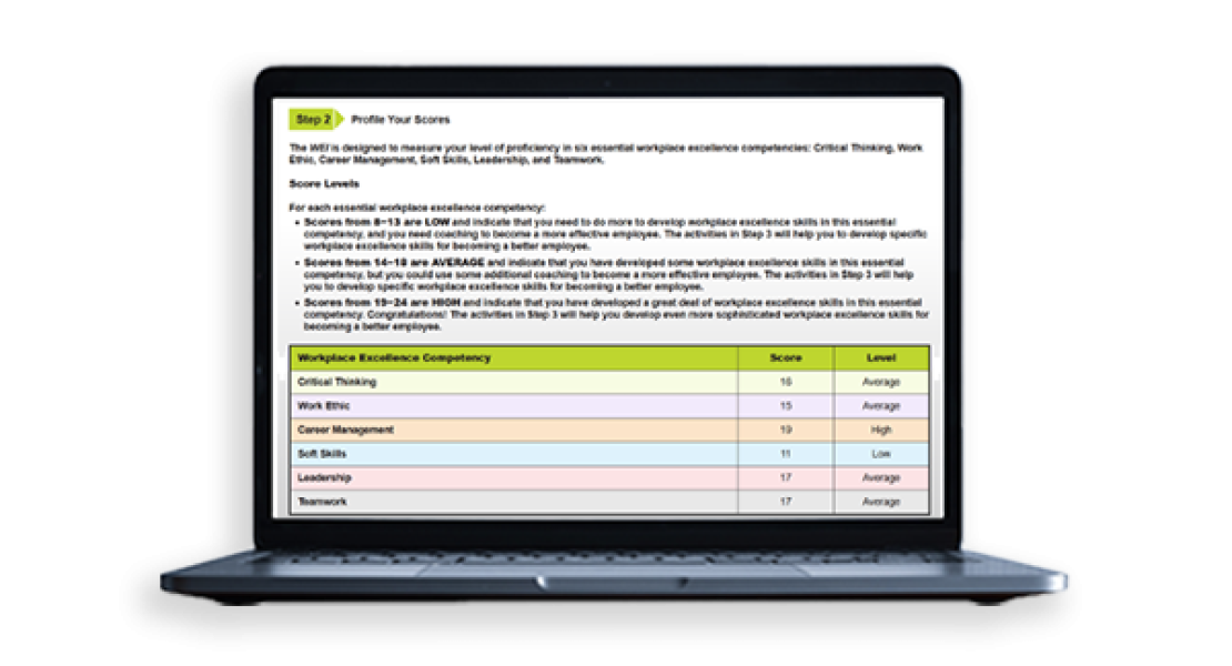 Digital Version of Workplace Excellence Inventory